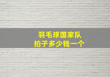 羽毛球国家队拍子多少钱一个