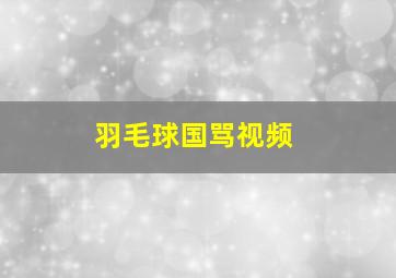 羽毛球国骂视频