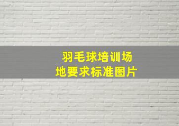 羽毛球培训场地要求标准图片