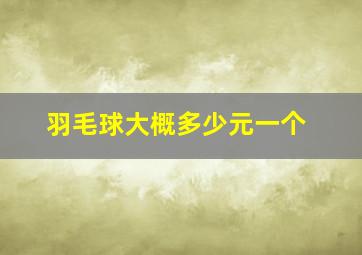 羽毛球大概多少元一个