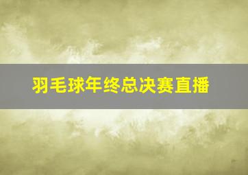 羽毛球年终总决赛直播