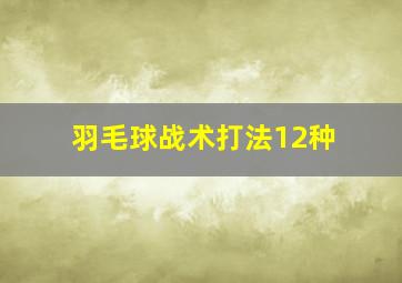 羽毛球战术打法12种