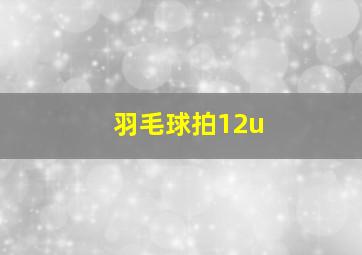 羽毛球拍12u