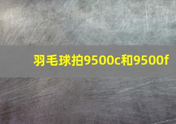 羽毛球拍9500c和9500f