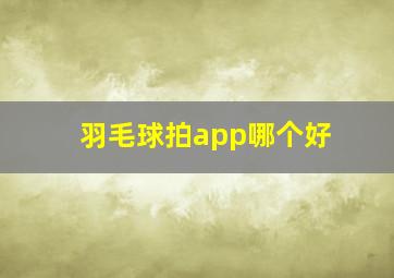 羽毛球拍app哪个好