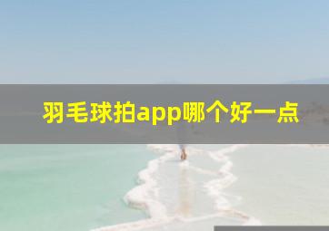 羽毛球拍app哪个好一点