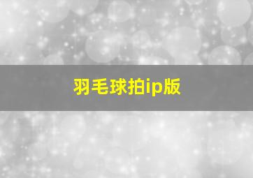 羽毛球拍ip版