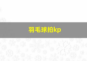 羽毛球拍kp