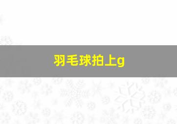 羽毛球拍上g