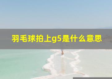 羽毛球拍上g5是什么意思