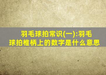 羽毛球拍常识(一):羽毛球拍椎柄上的数字是什么意思