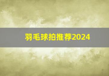 羽毛球拍推荐2024