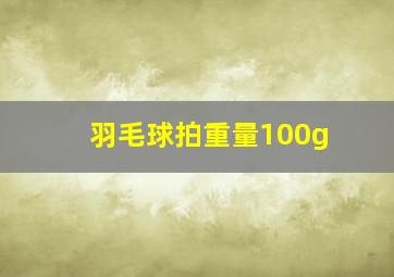 羽毛球拍重量100g