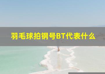 羽毛球拍钢号BT代表什么