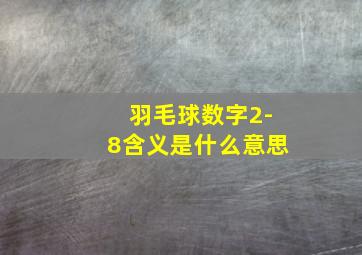 羽毛球数字2-8含义是什么意思