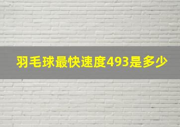 羽毛球最快速度493是多少