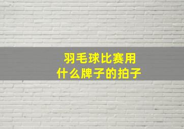 羽毛球比赛用什么牌子的拍子