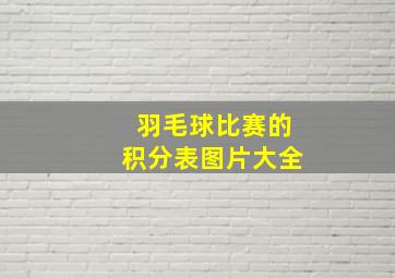 羽毛球比赛的积分表图片大全