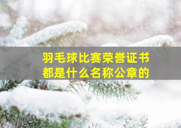 羽毛球比赛荣誉证书都是什么名称公章的