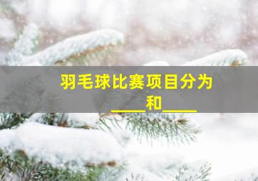 羽毛球比赛项目分为____和____