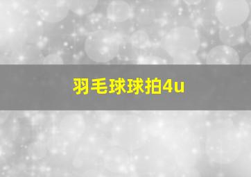 羽毛球球拍4u