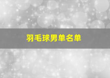 羽毛球男单名单