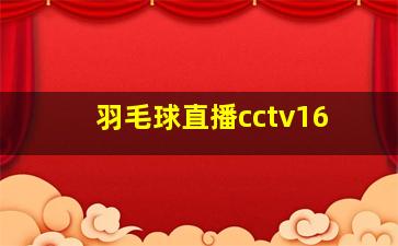 羽毛球直播cctv16