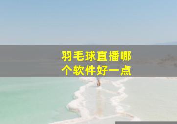 羽毛球直播哪个软件好一点