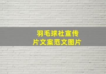 羽毛球社宣传片文案范文图片