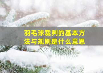 羽毛球裁判的基本方法与规则是什么意思