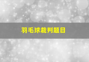 羽毛球裁判题目