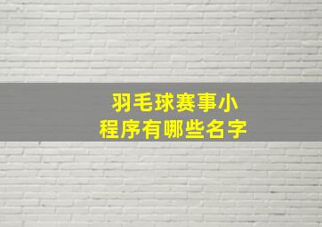 羽毛球赛事小程序有哪些名字