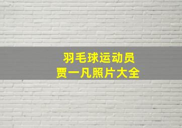 羽毛球运动员贾一凡照片大全