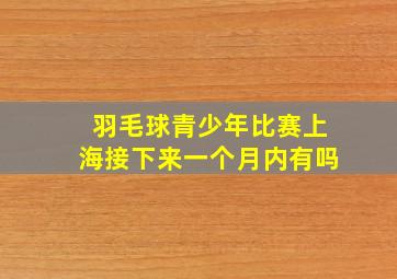 羽毛球青少年比赛上海接下来一个月内有吗