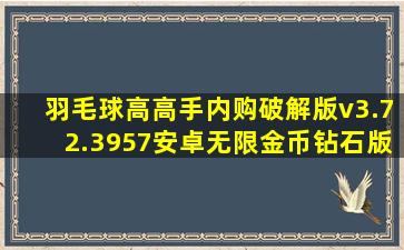 羽毛球高高手内购破解版v3.72.3957安卓无限金币钻石版