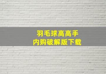 羽毛球高高手内购破解版下载