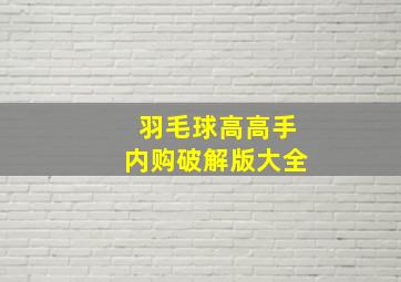 羽毛球高高手内购破解版大全