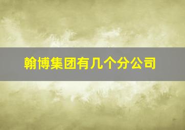 翰博集团有几个分公司