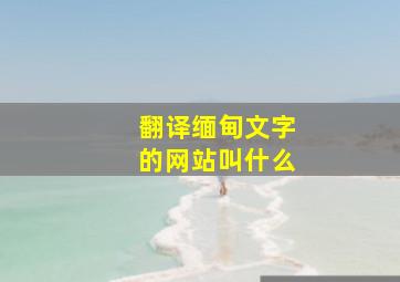 翻译缅甸文字的网站叫什么