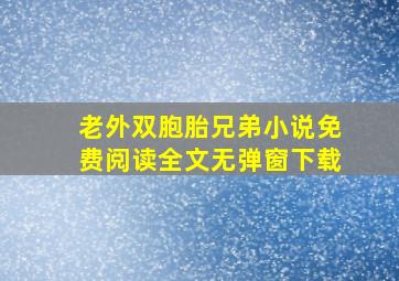 老外双胞胎兄弟小说免费阅读全文无弹窗下载