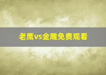 老鹰vs金雕免费观看