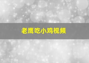 老鹰吃小鸡视频