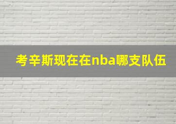 考辛斯现在在nba哪支队伍