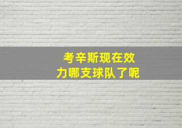 考辛斯现在效力哪支球队了呢