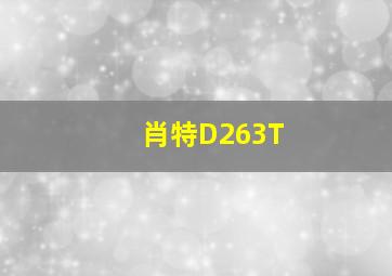 肖特D263T