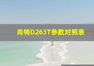 肖特D263T参数对照表