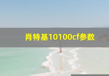 肖特基10100cf参数