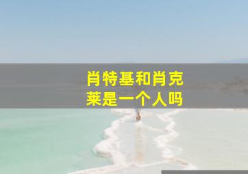 肖特基和肖克莱是一个人吗