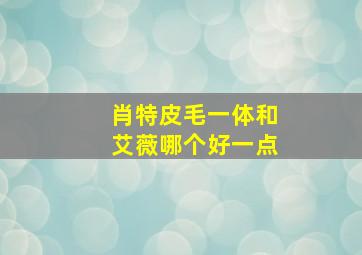 肖特皮毛一体和艾薇哪个好一点