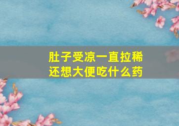 肚子受凉一直拉稀还想大便吃什么药